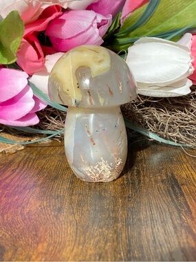 Dendritic Agate Mushroom